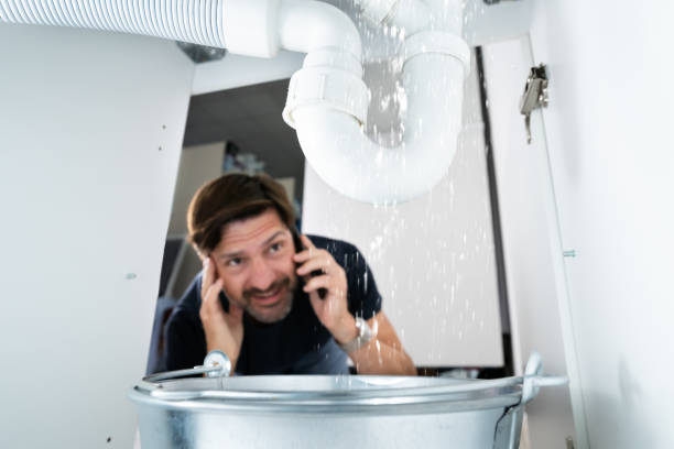 Best Affordable Plumbing Services  in Howland Center, OH